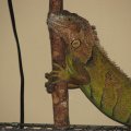 IMG_5219