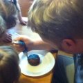 IMG_0906