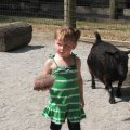 IMG_5342