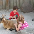 IMG_5346