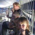 IMG_5439