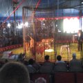 IMG_5447