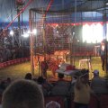 IMG_5448