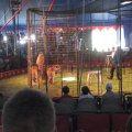 IMG_5449