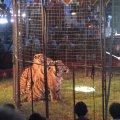 IMG_5454