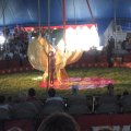 IMG_5461