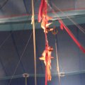 IMG_5464