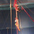IMG_5466