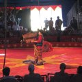 IMG_5475
