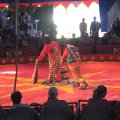 IMG_5476
