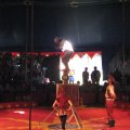 IMG_5488