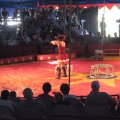 IMG_5505