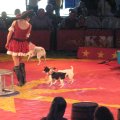 IMG_5512