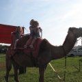 IMG_5529