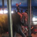 IMG_5539