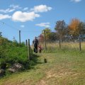 IMG_5767