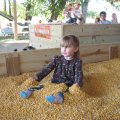 IMG_5815