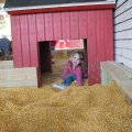 IMG_5830