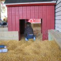 IMG_5832