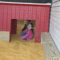 IMG_5852