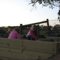IMG_5867