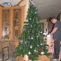 IMG_5903