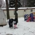 IMG_1686