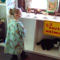 DSC00186