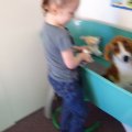 DSC00187