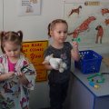 DSC00190