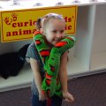 DSC00197