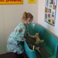 DSC00198