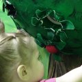 DSC00219