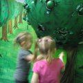 IMG_6201