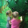 IMG_6203