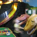 IMG_6233