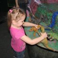 IMG_6238