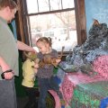 IMG_6242