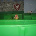 IMG_6351