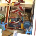 IMG_6479