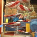 IMG_6491
