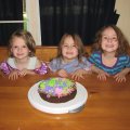 IMG_6528