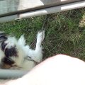 DSC00283
