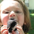 IMG_6631