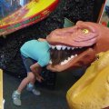 DSC00312