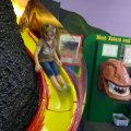DSC00333