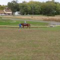 DSC00408