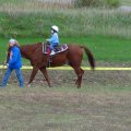 DSC00409