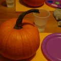 DSC00429