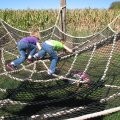 IMG_6993